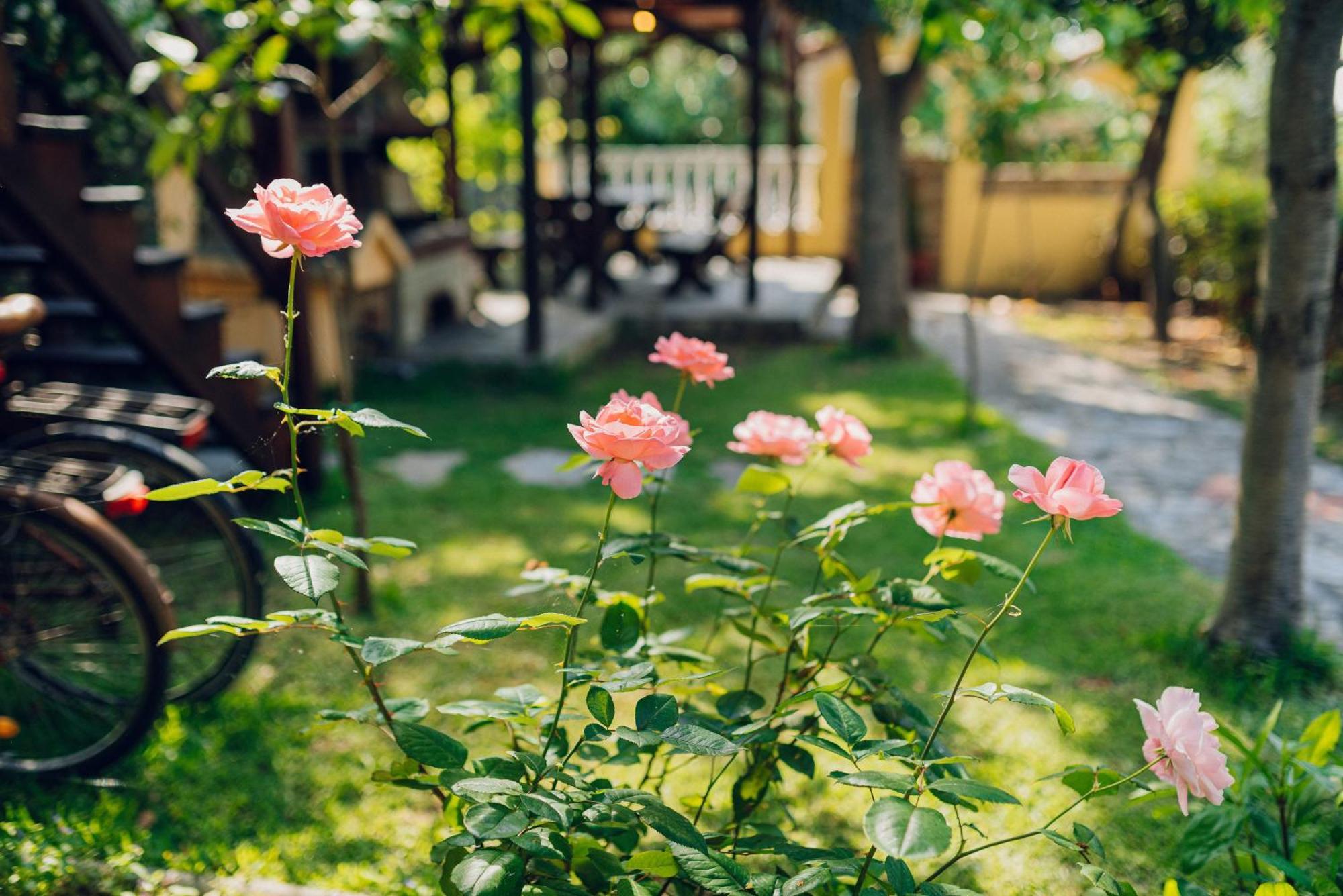 Villa Yianna Néa Meságkala Buitenkant foto